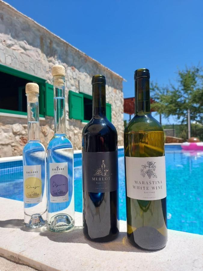 Villa Sagosde With Swimming Pool And Mini Golf Zagvozd Bagian luar foto